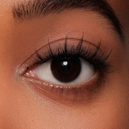 Anua® NO.14 Frost Black Soft Magnetic Eyelashes – Upgraded All-in-One Box
